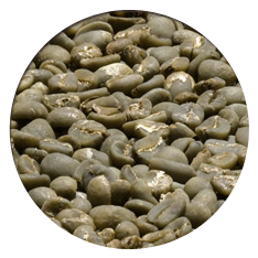 Green coffee