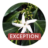 Café d'exception