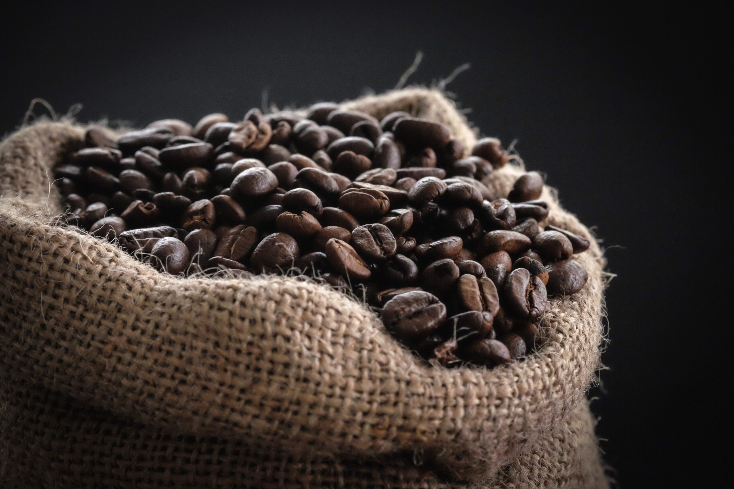 Découvrez les 5 meilleurs cafés au monde - Le blog Javry Coffee