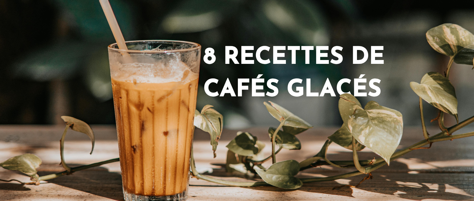 recettes de café glacé endance 2026