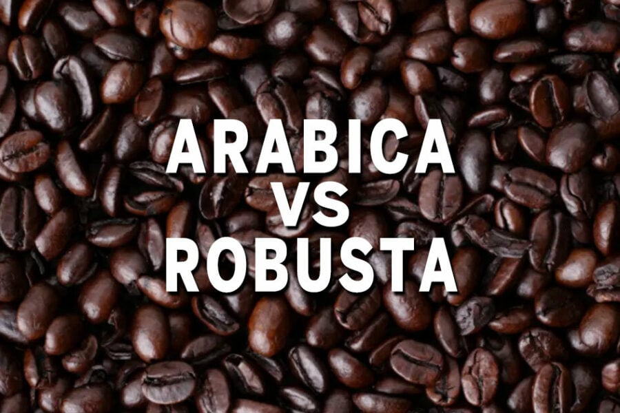 arabica ou robusta