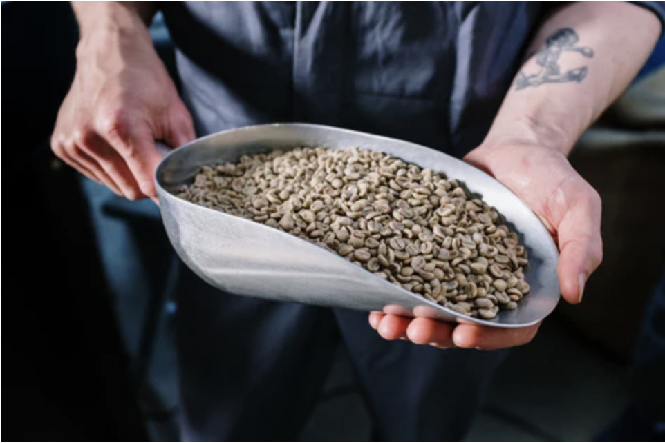 Comment est fabriqué le café décaféiné Comment est fabriqué le café décaféiné