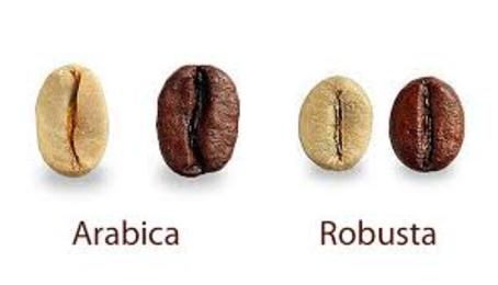 Les 5 étapes pour obtenir un café de qualité
