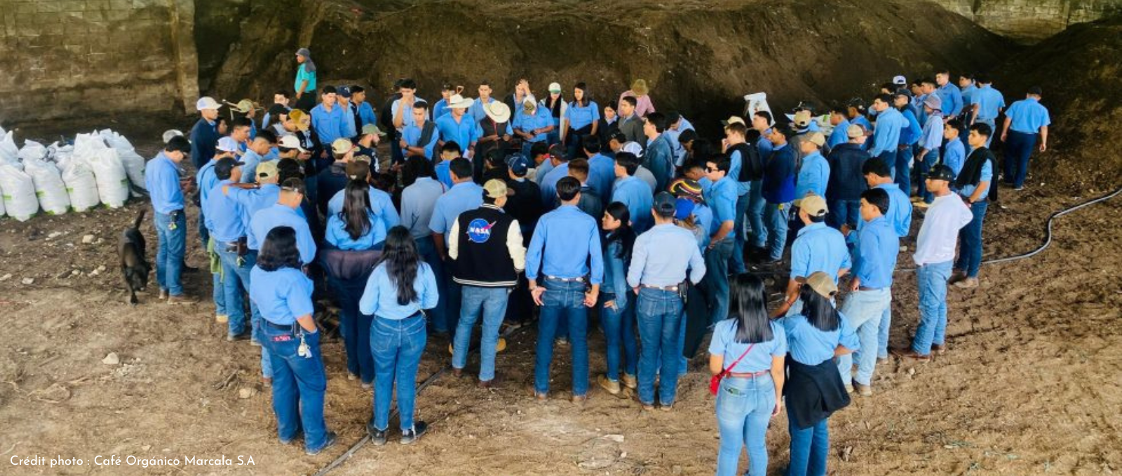 rôle coopératives de producteurs de café