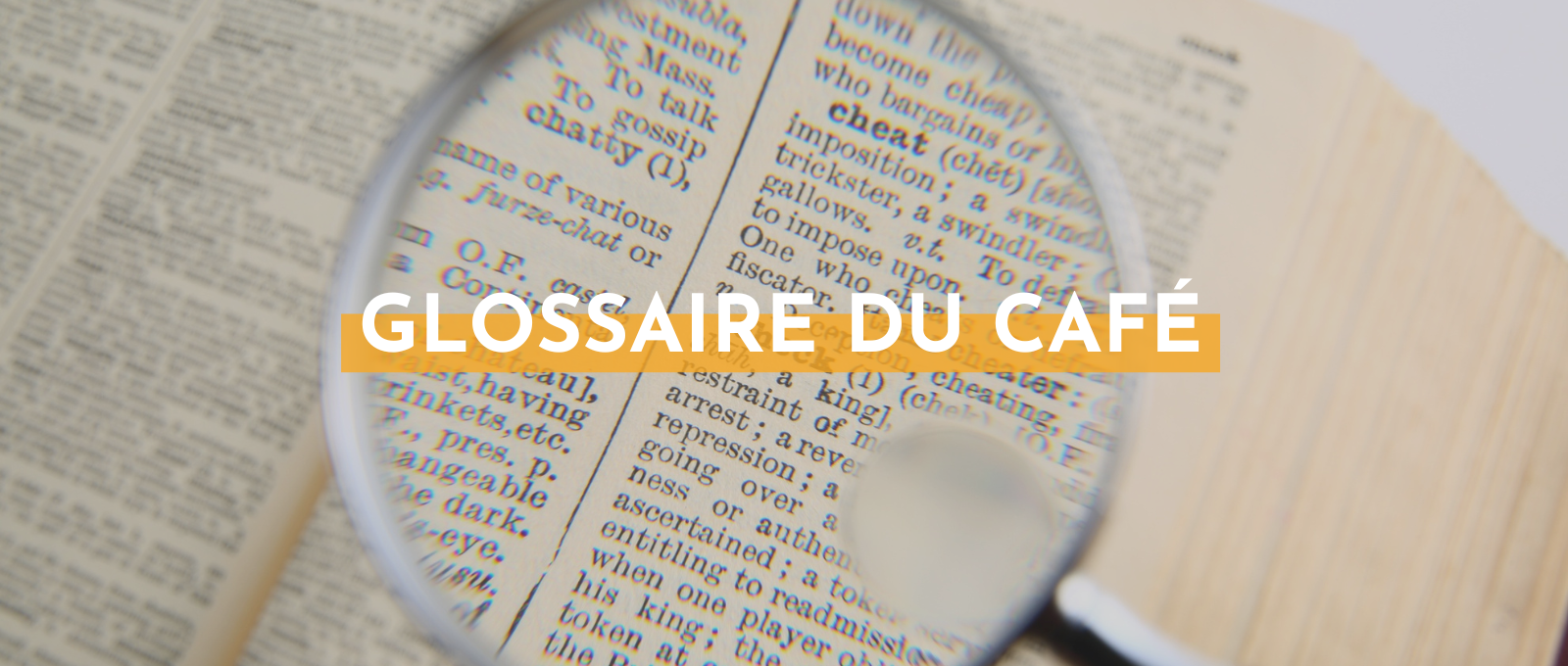 glossaire ultime du café