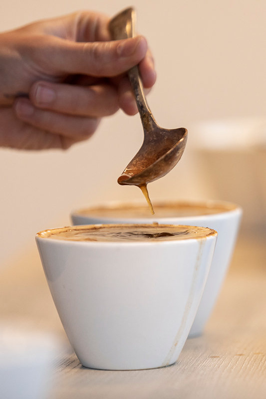 cupping et score SCA