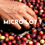définition d'un café micro-lot