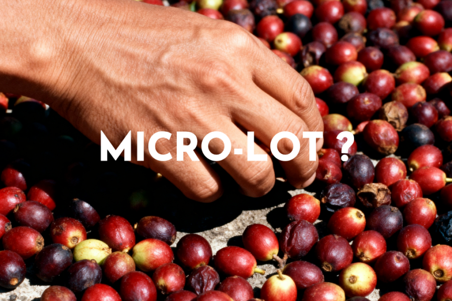 définition d'un café micro-lot