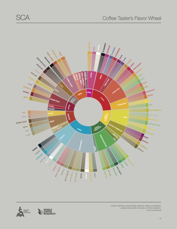 roue des saveurs du café de la SCA