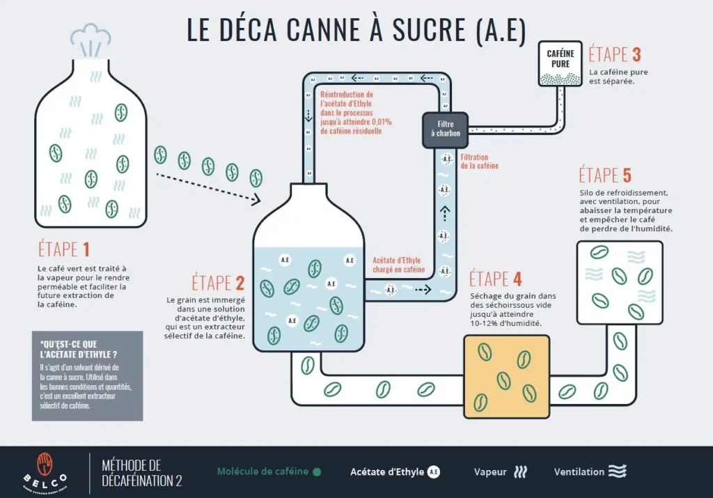 le process de décaf à la canne à sucre