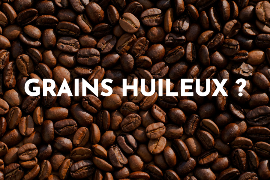 grains de café gras, pourquoi ?