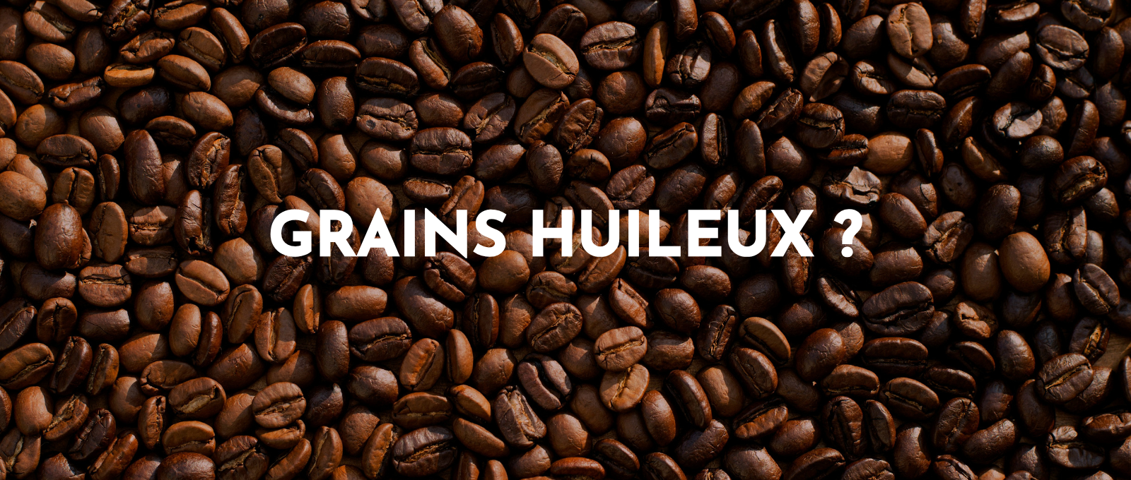 grains de café gras, pourquoi ?