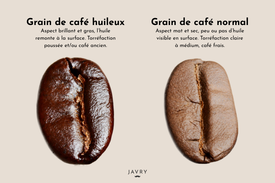 pourquoi vos grains de café sont-ils huileux